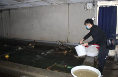 工程和技術研究與試驗發展 創新驅動與未來展望